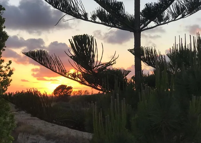 Sweet N' Boujee With Varenda Lejlighed